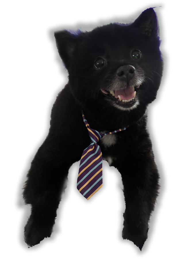 Oliver, suited up